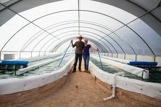 Pond Lining Sheets