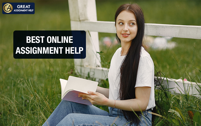 Assignment Help Online (18)