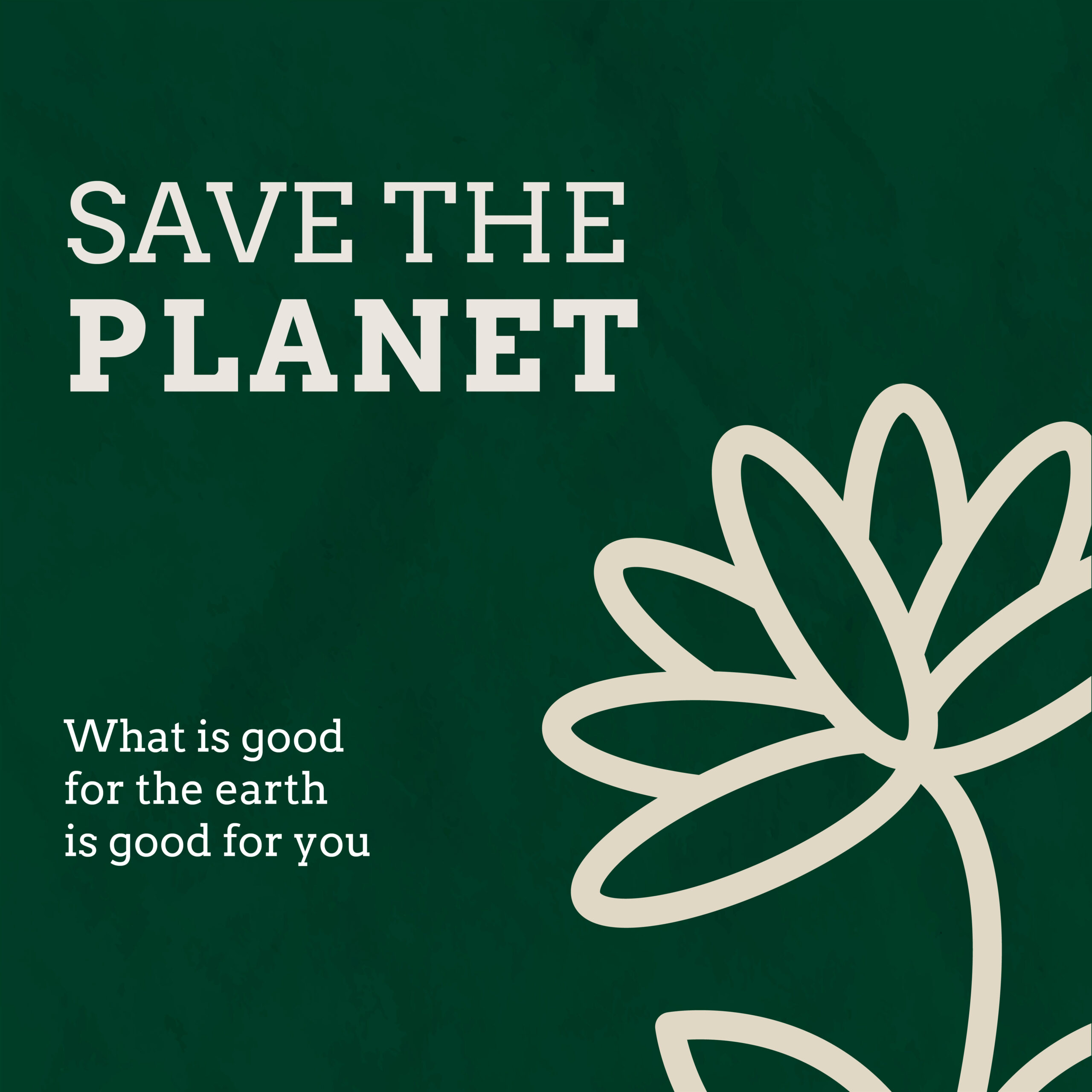 eco-minimalism