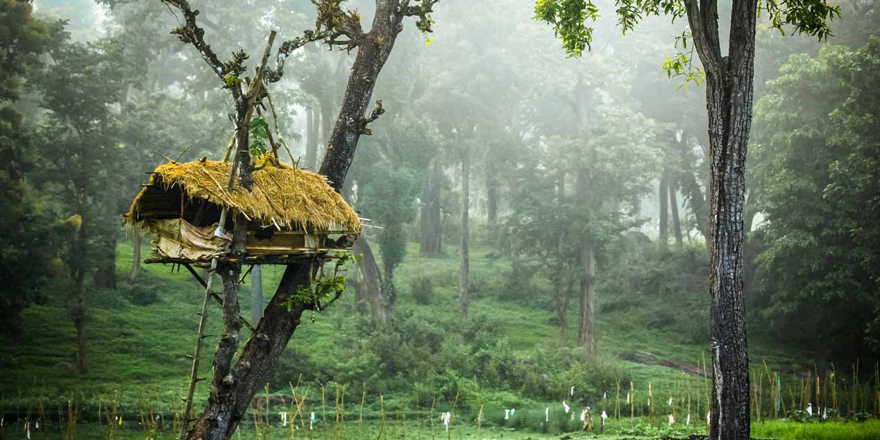 wayanad Tour