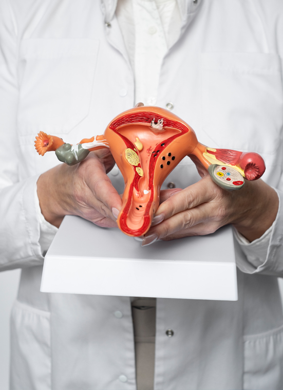 Reproductive health maintenance.