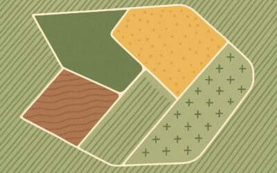 The 4-Zone Strategy for Smarter Herbicide Use on Large Farms
