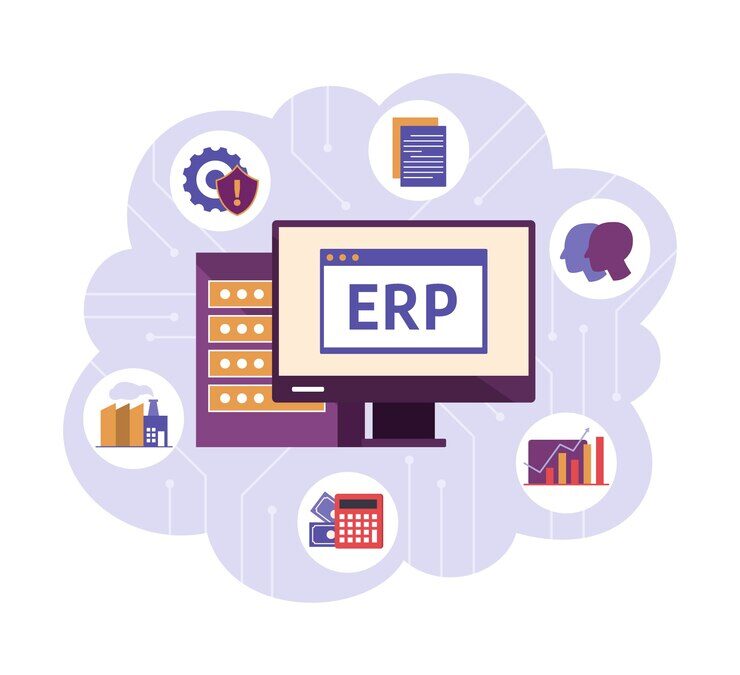 Digital Backbone: ERP Systems in the UAE