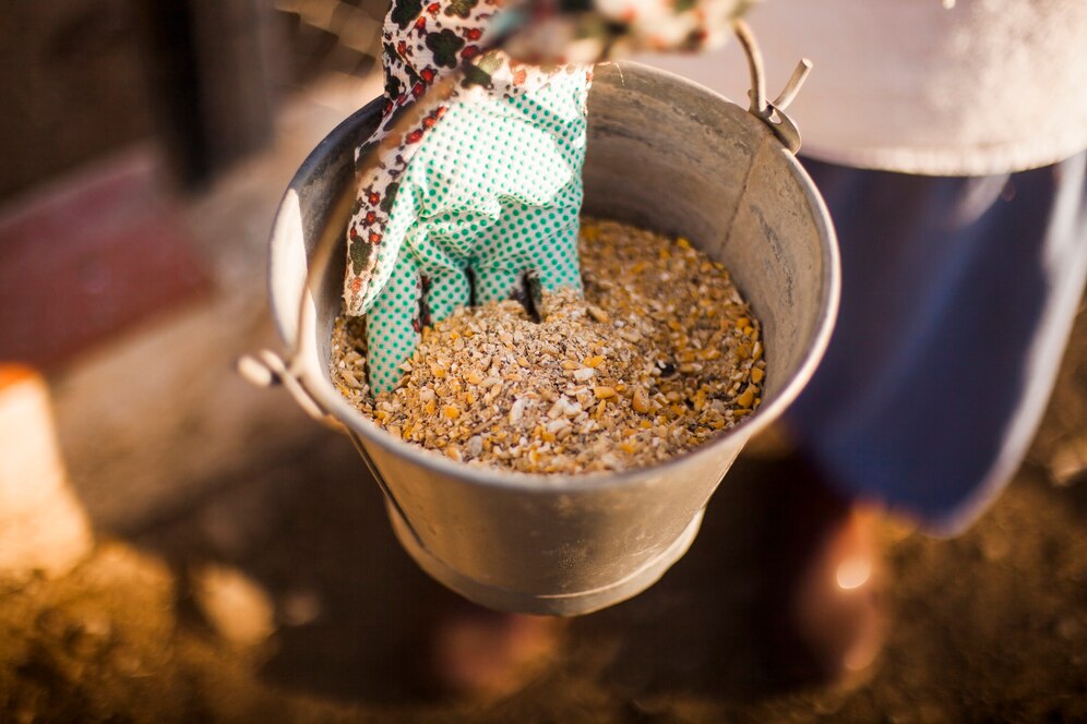 person-hand-holding-bucket-with-fodder_23-2147907111