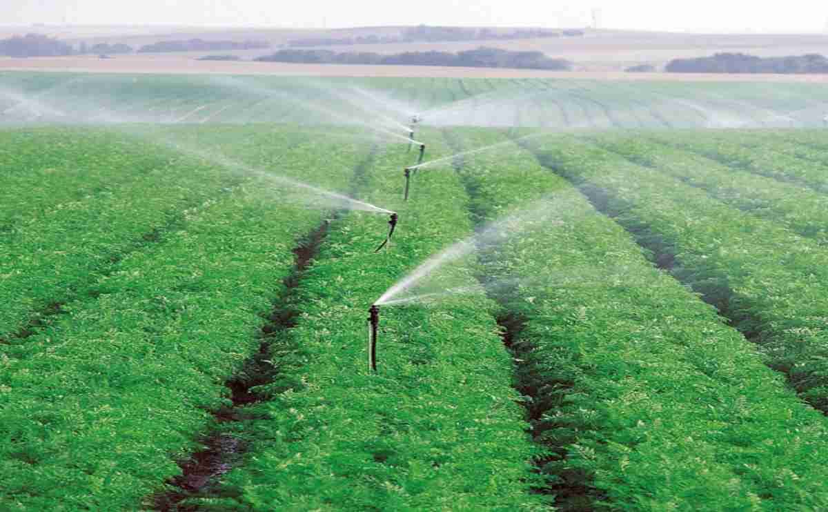 AG134_Sprinkler_3