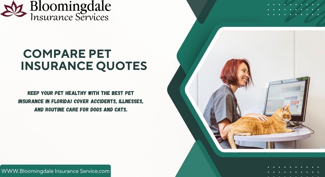 Compare Pet Insurance Quotes with Bloomingdale Insurance Services