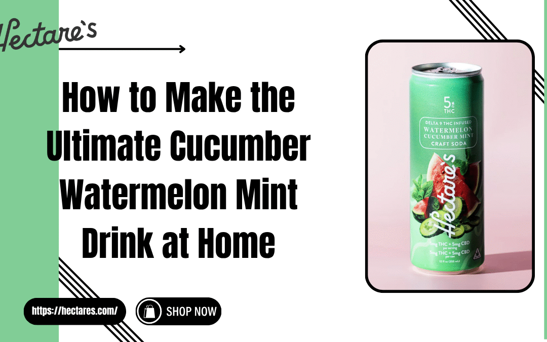 How to Make the Ultimate Cucumber Watermelon Mint Drink at Home