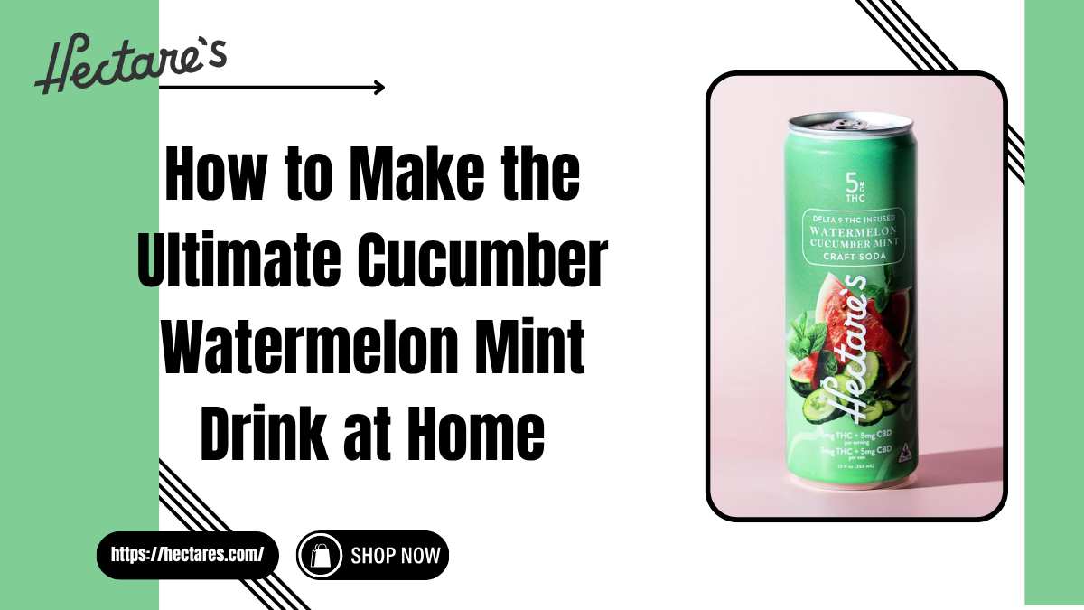 How to Make the Ultimate Cucumber Watermelon Mint Drink at Home