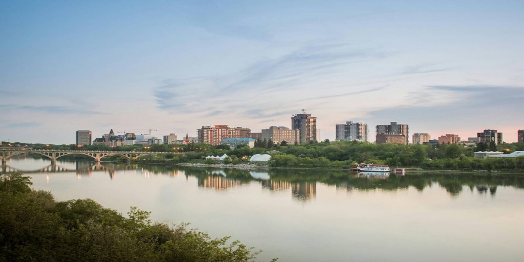 When Trees Become Legal Problems: How Land Surveyors Handle Natural Boundaries in Edmonton