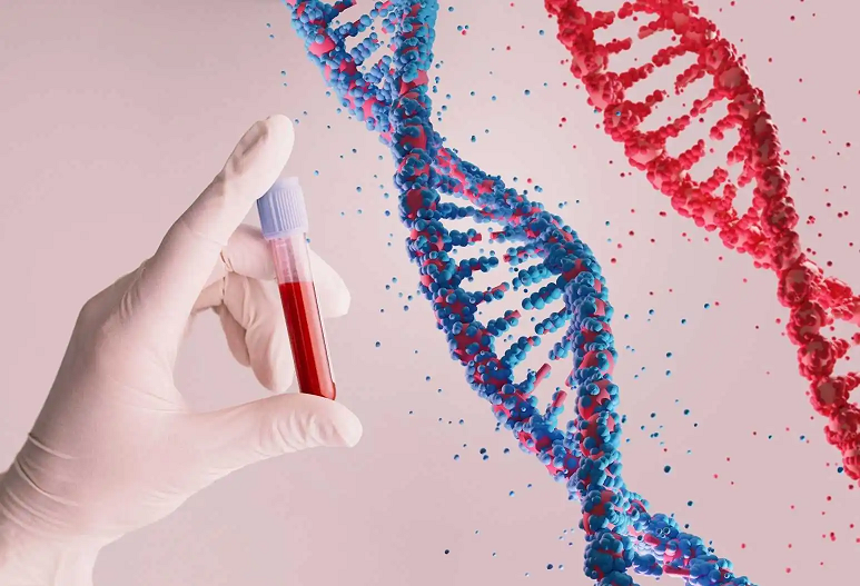 Top 10 Facts on Blood Tests for Body Analysis