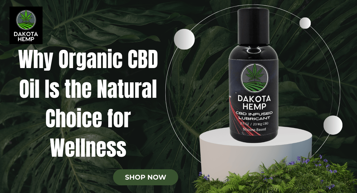 Why Organic CBD Oil Is the Natural Choice for Wellness 1