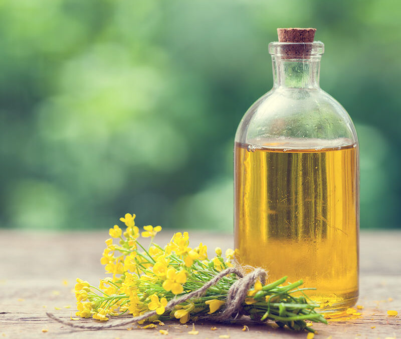 Finding the Best Canola Oil Suppliers in Canada: What You Need to Know