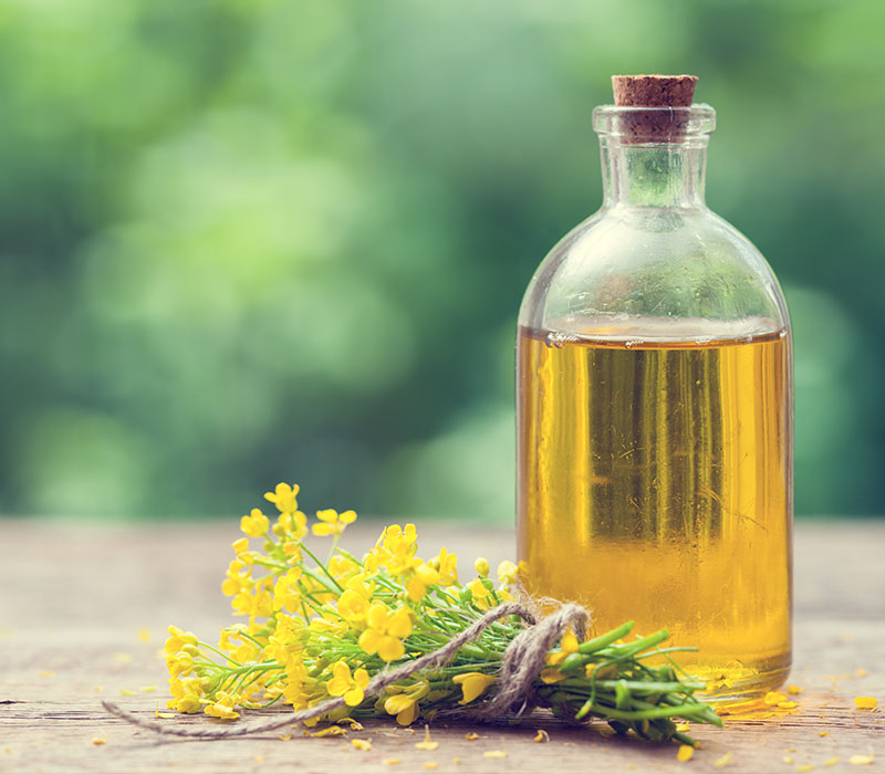 canola oil supplier in Canada