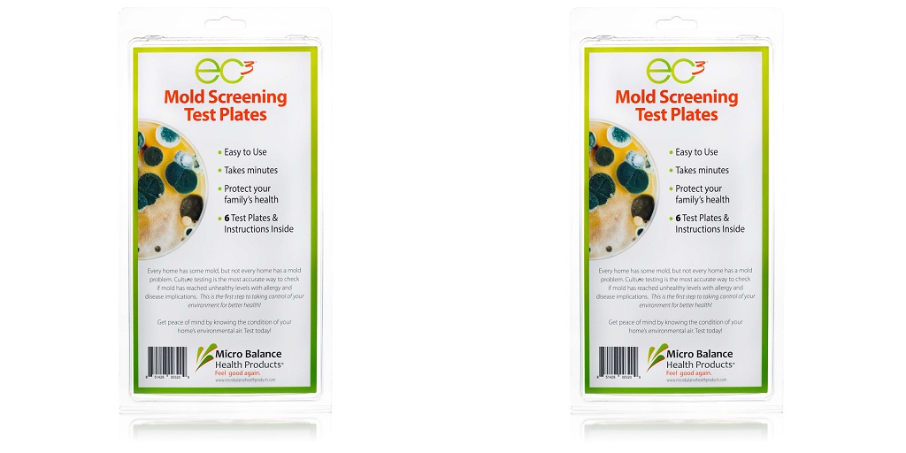 Be a Mold Detective in Your Own Home!