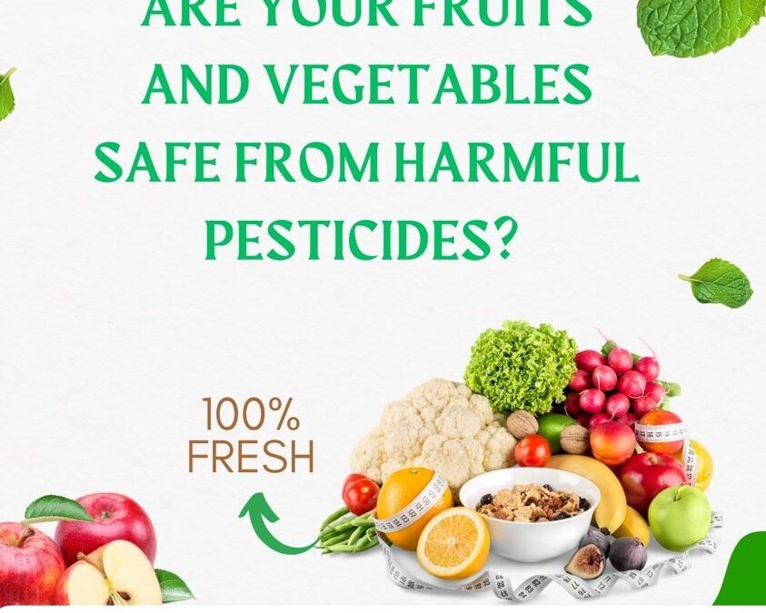 Food Shelf Life Testing Services: An Overview