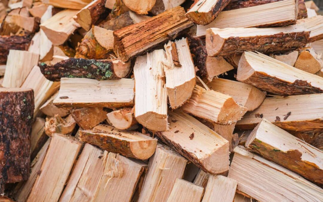 Wood Yard Near Me Your Source for Sustainable Campfire Fuel