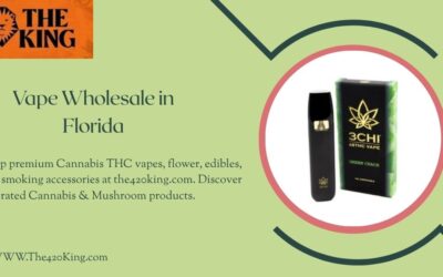 Vape Wholesale in Florida: Your Ultimate Guide by The 420 King