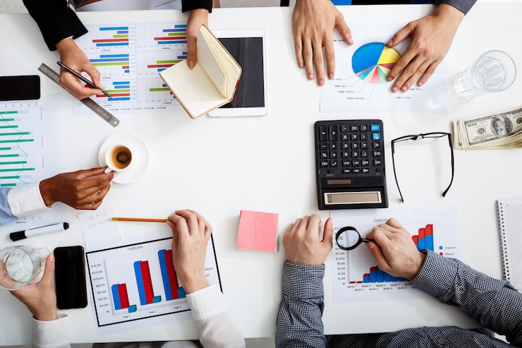 audit support