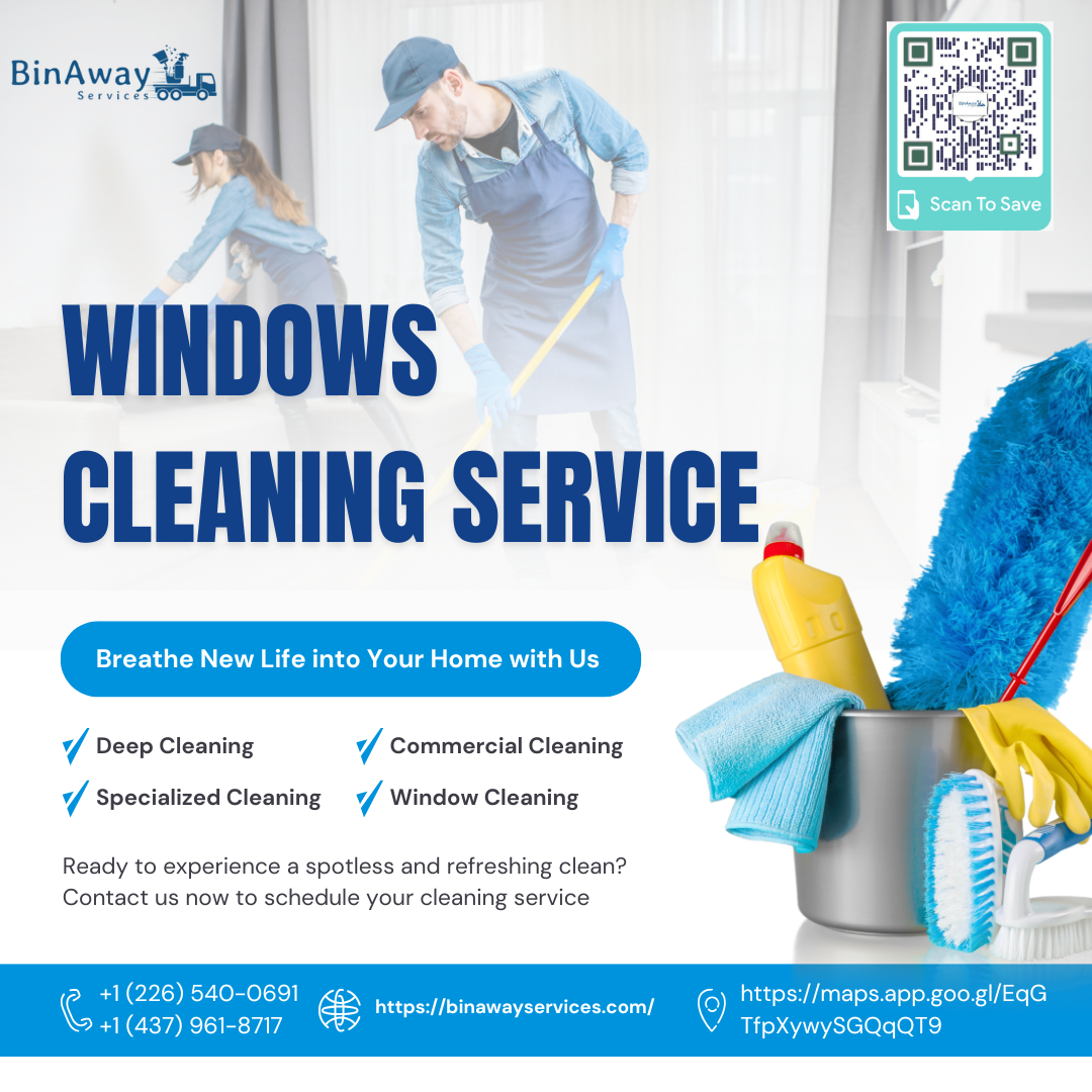 windows cleaning service
