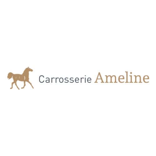 Conseils d’entretien pour garder votre camion à chevaux 2 places en parfait état
