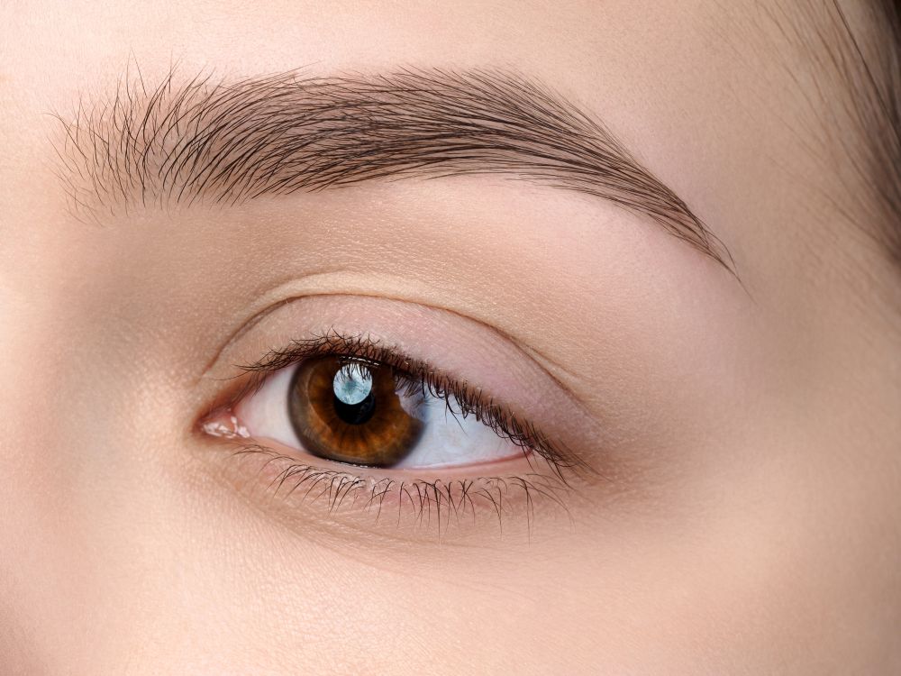 Change Your Look with Eyebrow Hair Transplant 101