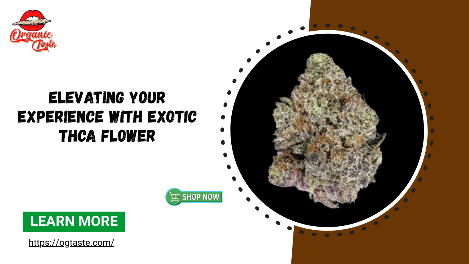 Elevating Your Experience with Exotic THCa Flower
