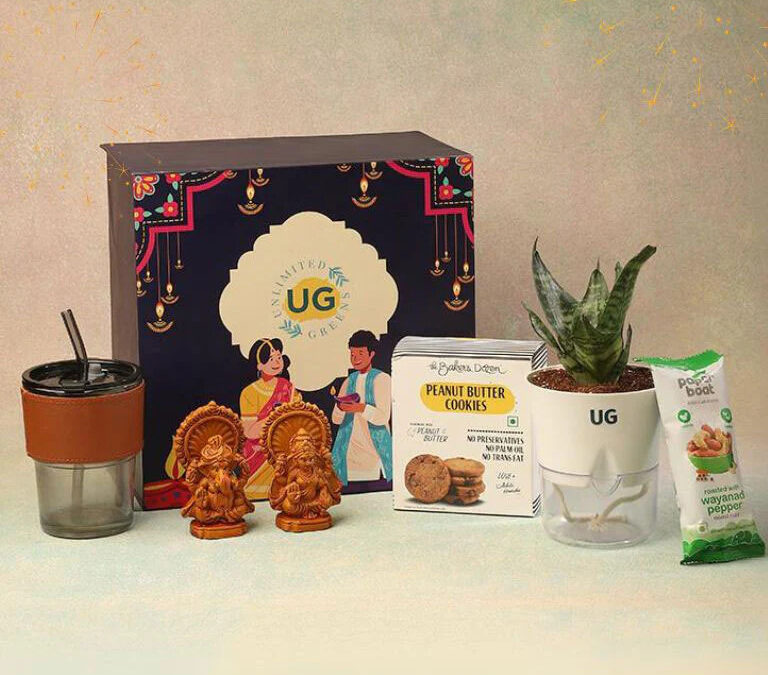 From Onboarding to Farewell: 7 Creative Ways to Use Plants for Corporate Gifting Throughout the Employee Journey