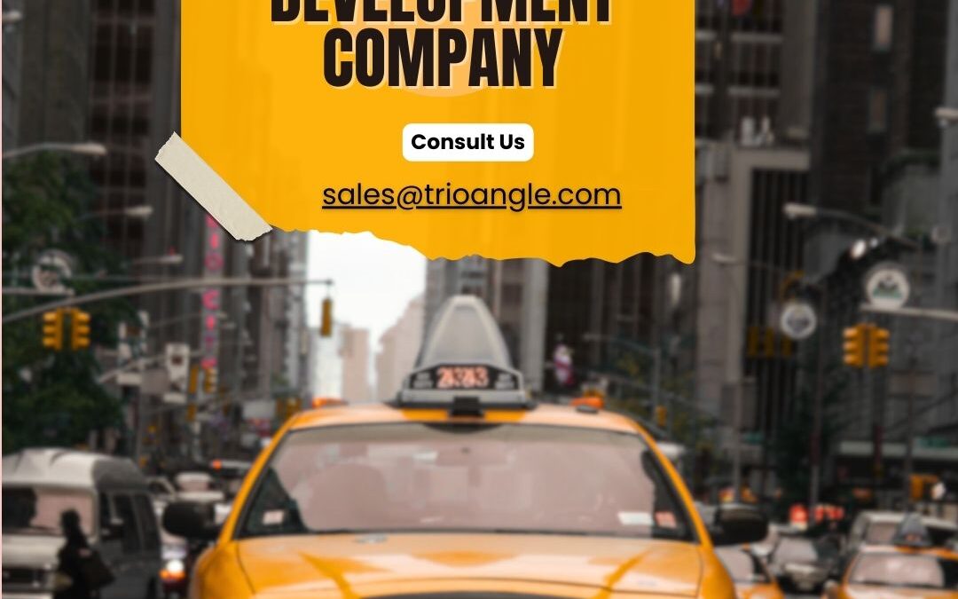 How to Find the Perfect Taxi App Development Company?