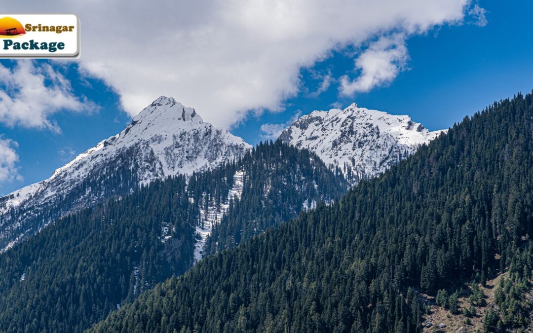 Srinagar Holiday Package: A Dream Escape in the Heart of Kashmir