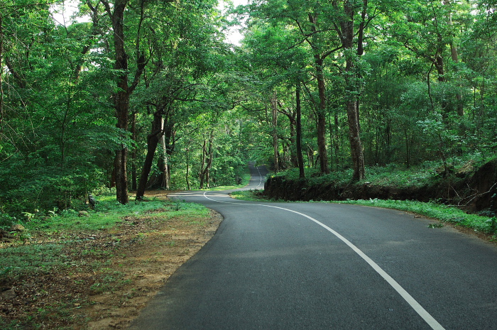 bangalore-to-wayabad-road