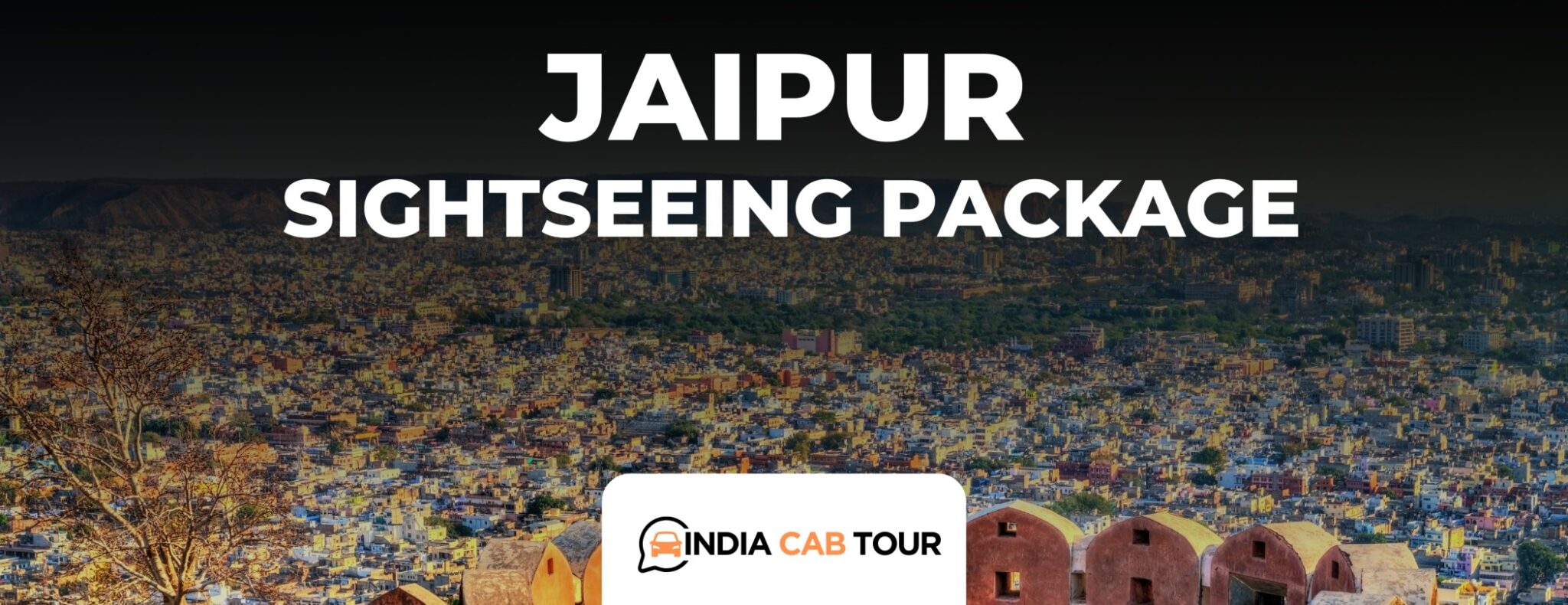 jaipur sight image