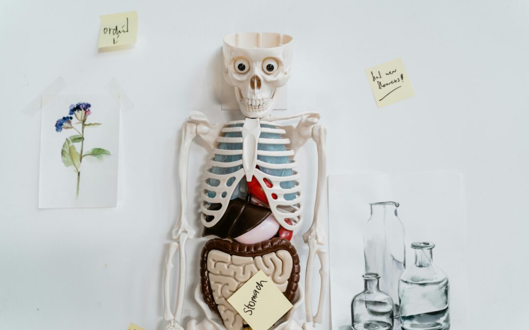 PreMed 101: 8 Things to Help You Become “Med School Ready”