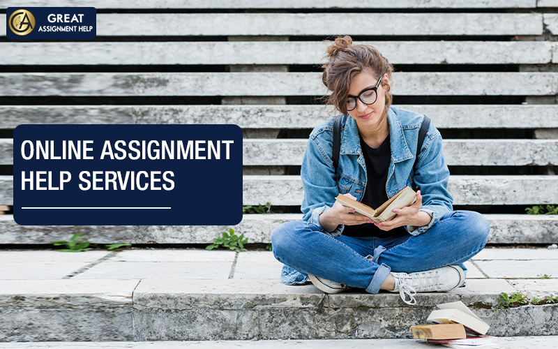 Assignment Help (13)