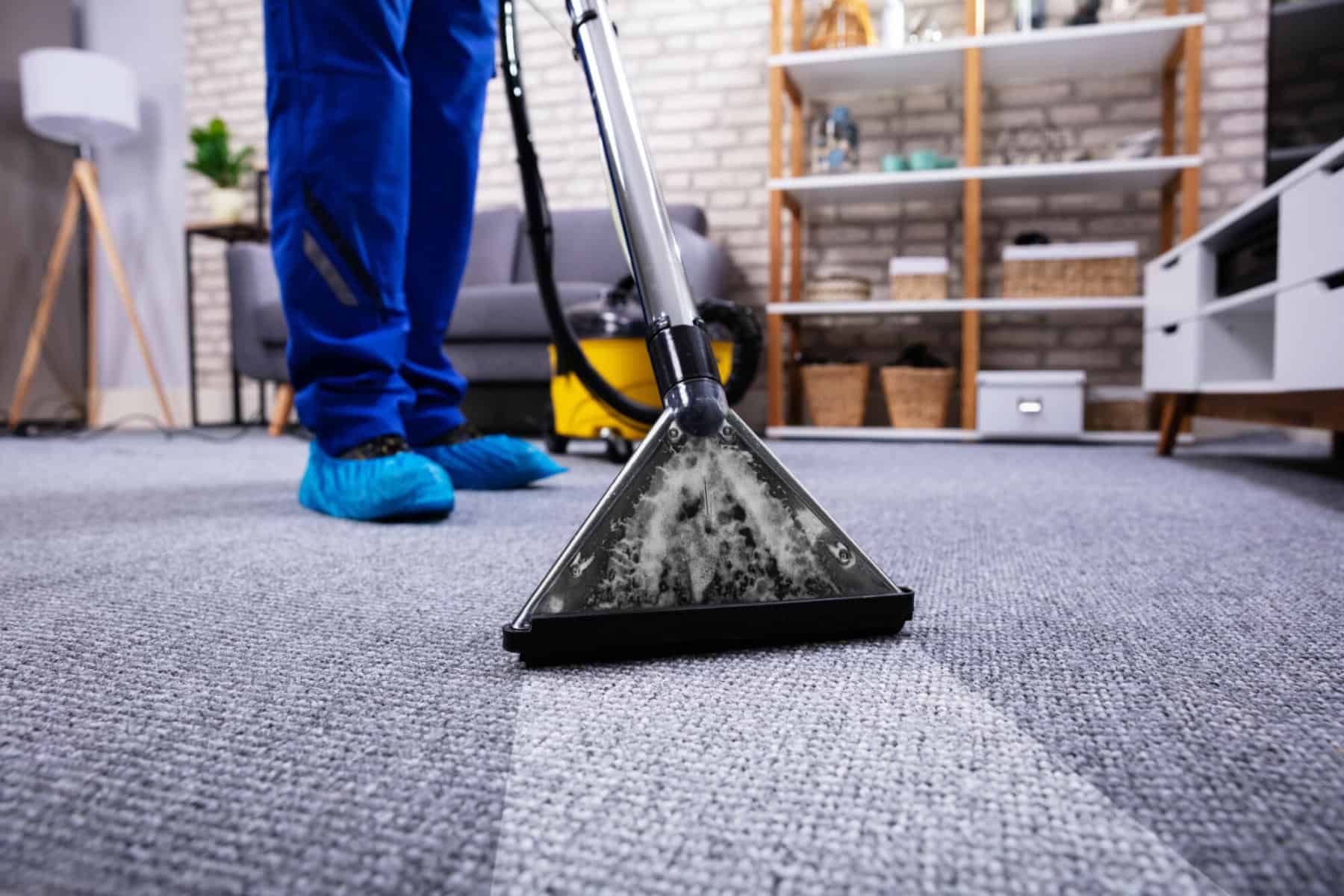 carpet_banner