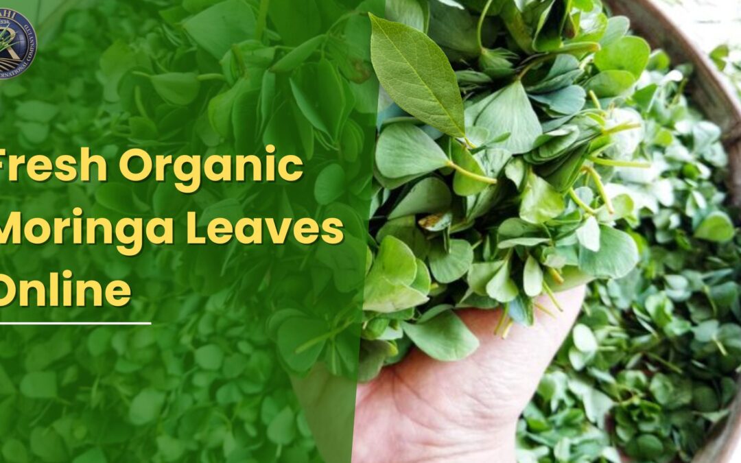 Fresh Organic Moringa Leaves Online – A Natural Boost for Energy & Immunity