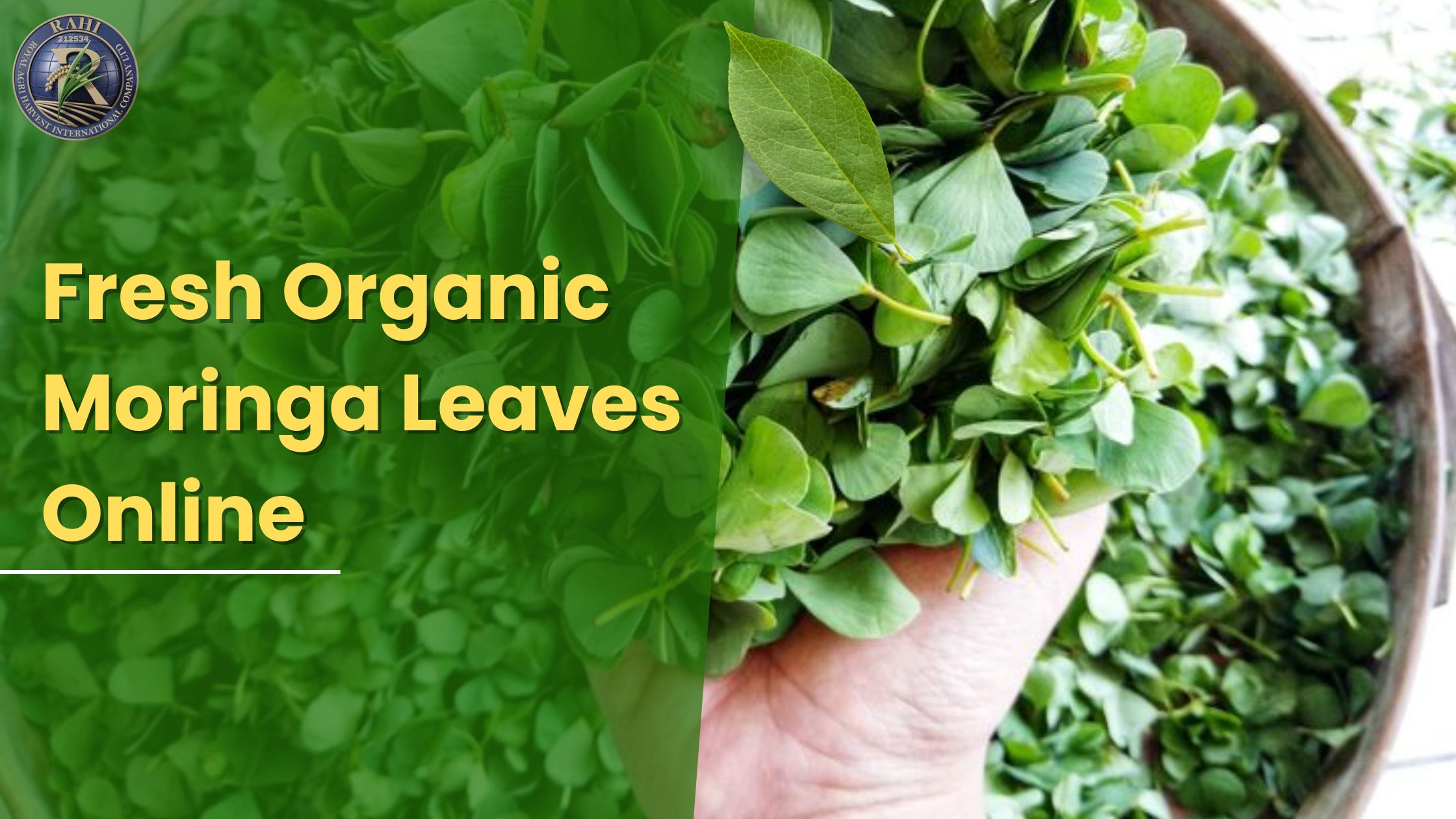 fresh organic moringa leaves online