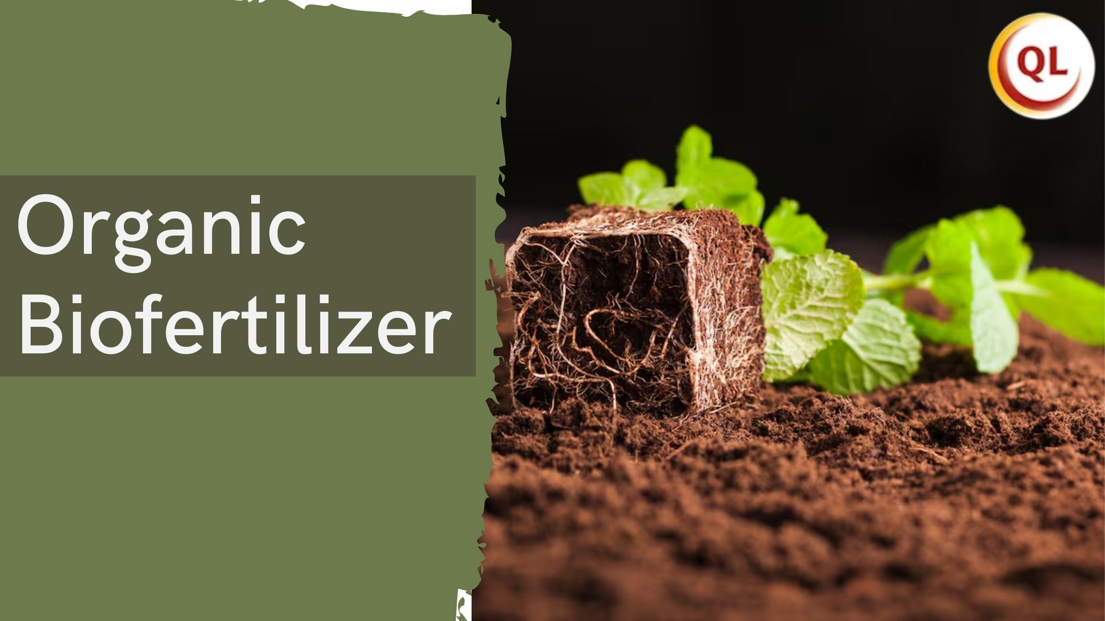 organic biofertilizer