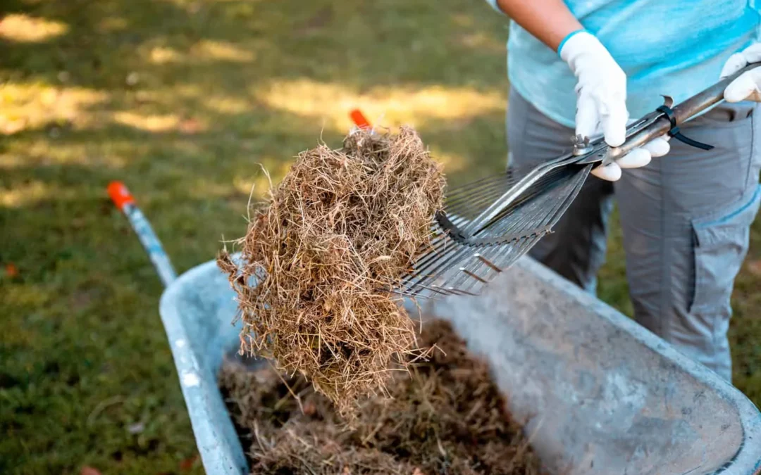 Can You Just Put Compost on Top of Grass?
