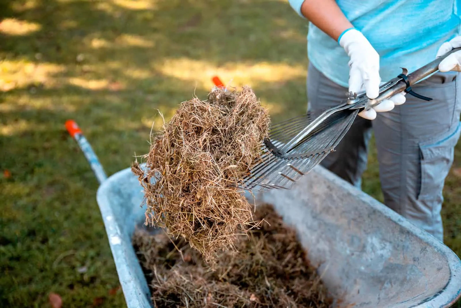 what-is-grass-mulching-1706785319