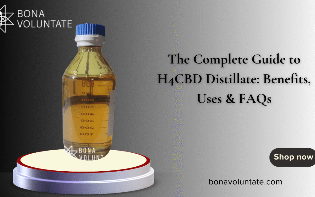 The Complete Guide to H4CBD Distillate: Benefits, Uses & FAQs