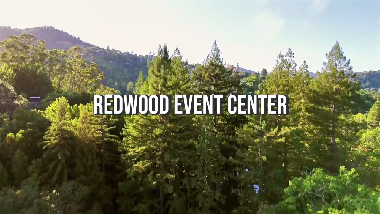 redwood
