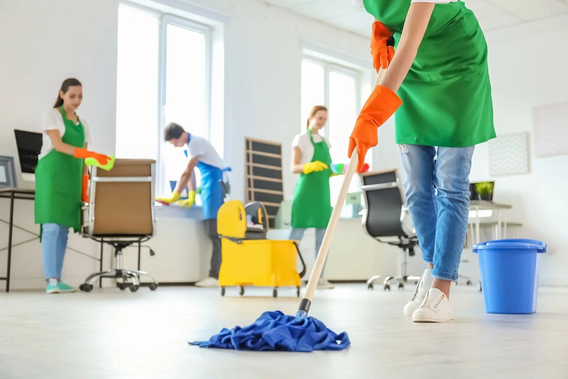Standard Cleaning Services Standard Cleaning Services