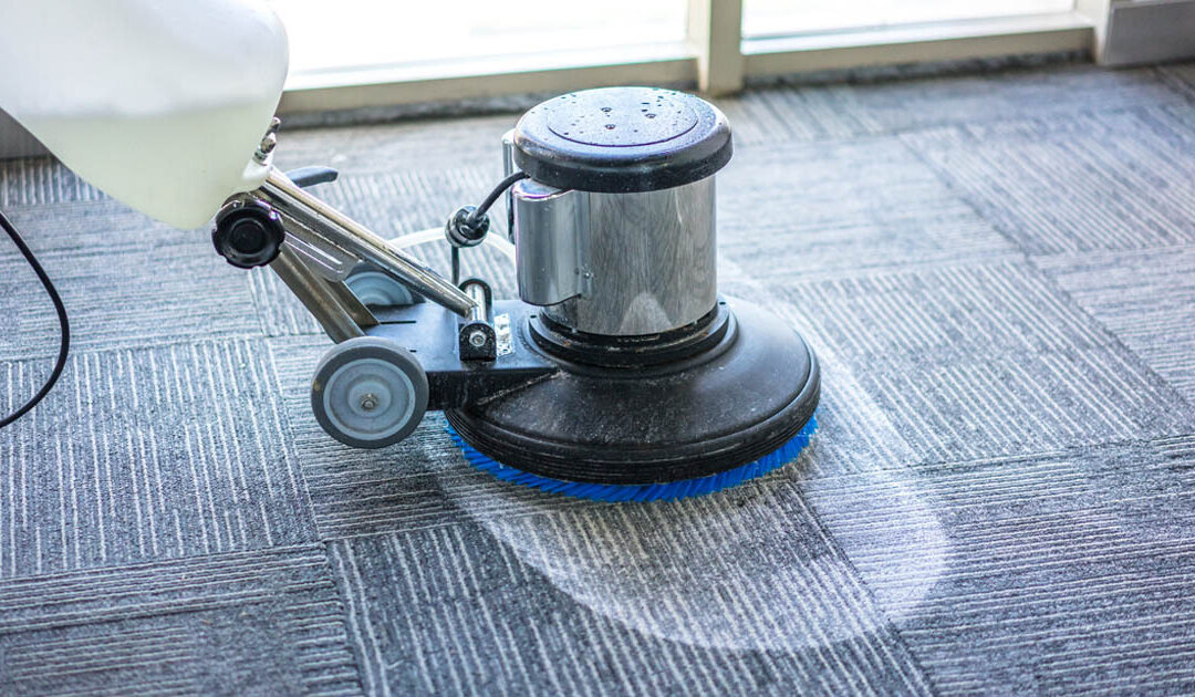 Is Professional Carpet Cleaning Better Than Doing It Yourself?