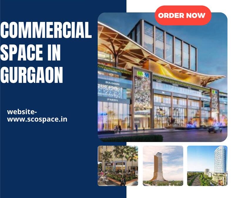 Unlock Constant Growth with Pyramid Grand Vista Gurgaon SCO Plots