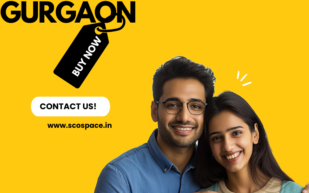 Your SCO Plot Checklist: Invest in SCO plots in Gurgaon