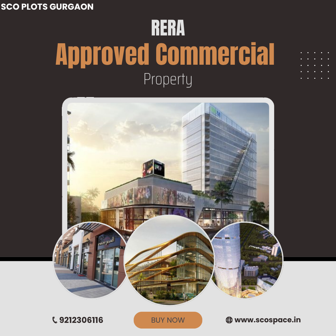 RERA approved commercial property (1)