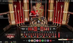 初心者向けライブカジノ攻略ガイド